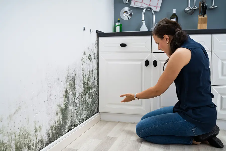 Normal Wear and Tear California Law: Common Misconceptions Among Landlords